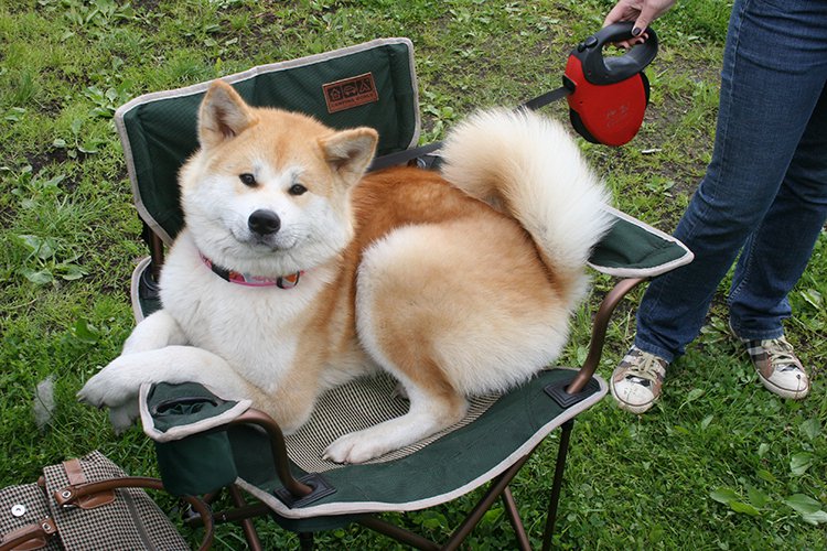 Наши пациенты